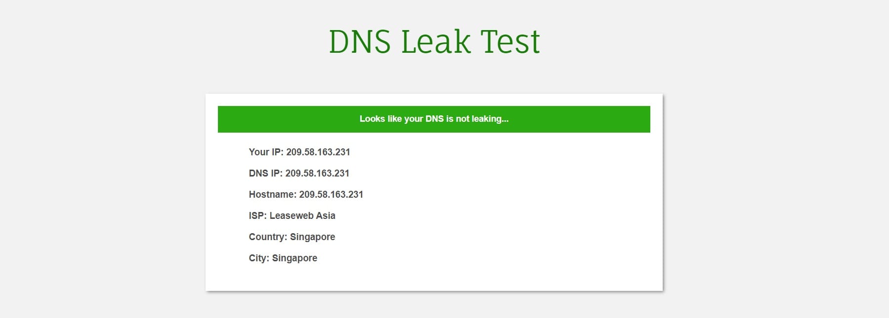 ProtonVPN DNS Leak Test Results.